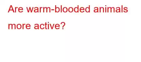 Are warm-blooded animals more active?