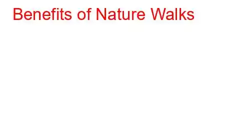 Benefits of Nature Walks