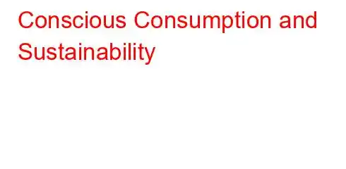 Conscious Consumption and Sustainability