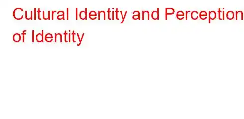 Cultural Identity and Perception of Identity