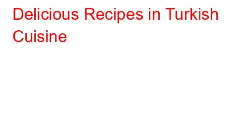 Delicious Recipes in Turkish Cuisine