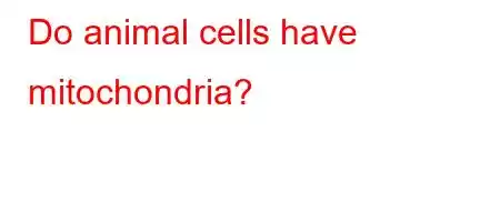 Do animal cells have mitochondria?