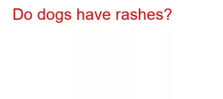 Do dogs have rashes?