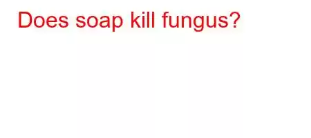 Does soap kill fungus?