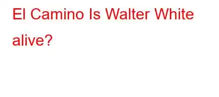 El Camino Is Walter White alive?