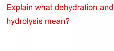 Explain what dehydration and hydrolysis mean