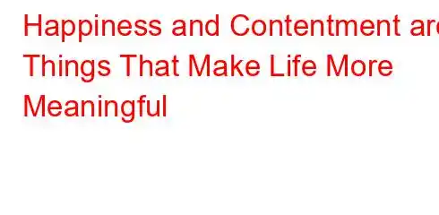 Happiness and Contentment are Things That Make Life More Meaningful