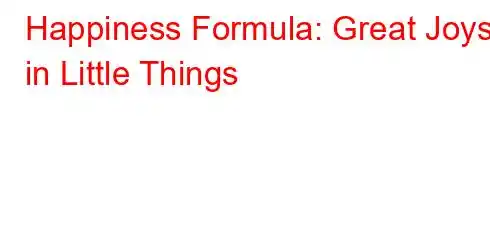 Happiness Formula: Great Joys in Little Things