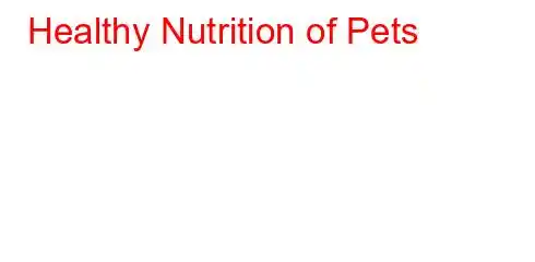 Healthy Nutrition of Pets