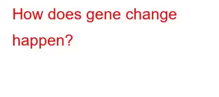 How does gene change happen?