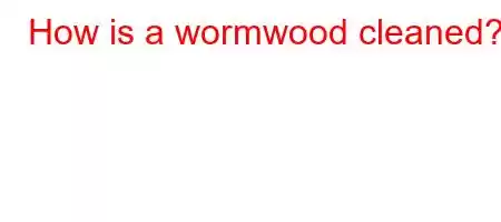 How is a wormwood cleaned?