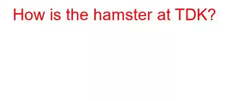 How is the hamster at TDK?