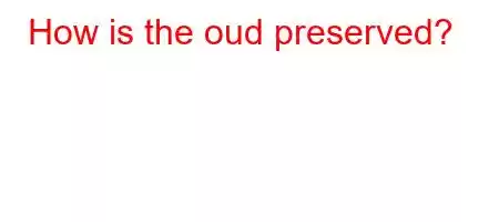 How is the oud preserved?