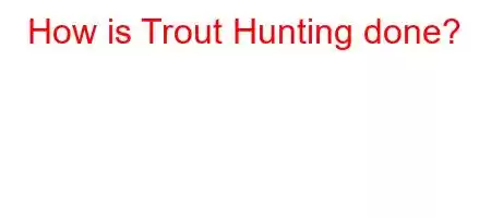 How is Trout Hunting done?