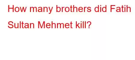 How many brothers did Fatih Sultan Mehmet kill?