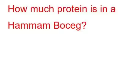 How much protein is in a Hammam Boceg?