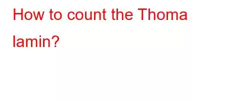 How to count the Thoma lamin?