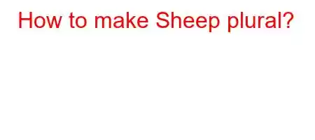 How to make Sheep plural?