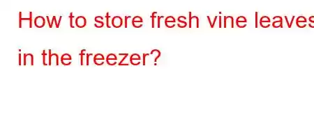 How to store fresh vine leaves in the freezer?