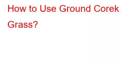 How to Use Ground Corek Grass