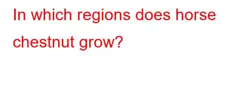 In which regions does horse chestnut grow