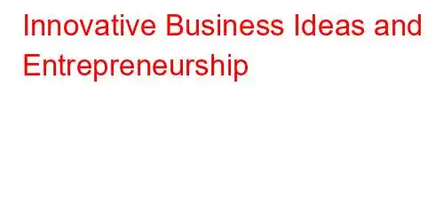 Innovative Business Ideas and Entrepreneurship