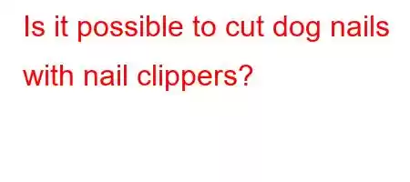 Is it possible to cut dog nails with nail clippers