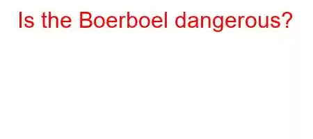 Is the Boerboel dangerous?