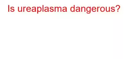 Is ureaplasma dangerous