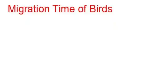 Migration Time of Birds