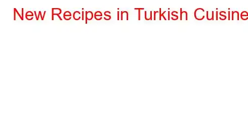 New Recipes in Turkish Cuisine