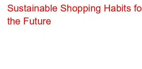 Sustainable Shopping Habits for the Future