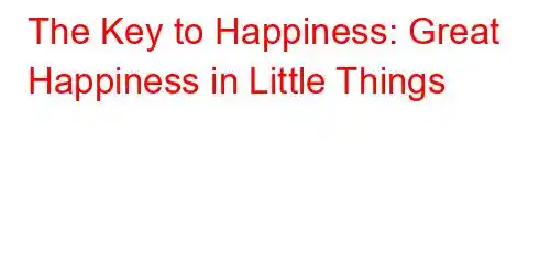 The Key to Happiness: Great Happiness in Little Things