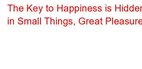 The Key to Happiness is Hidden in Small Things, Great Pleasures