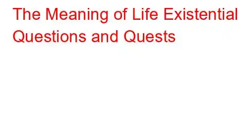 The Meaning of Life Existential Questions and Quests