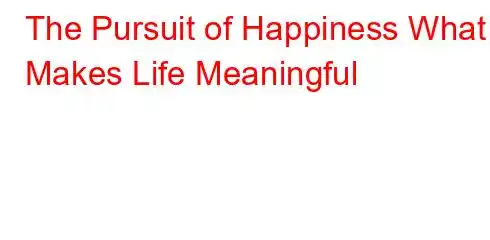 The Pursuit of Happiness What Makes Life Meaningful