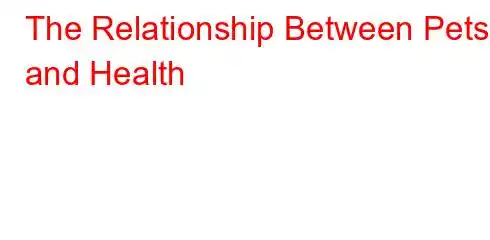 The Relationship Between Pets and Health