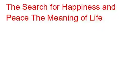 The Search for Happiness and Peace The Meaning of Life