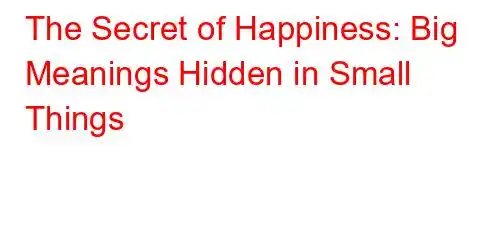 The Secret of Happiness: Big Meanings Hidden in Small Things