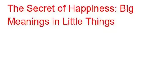 The Secret of Happiness: Big Meanings in Little Things