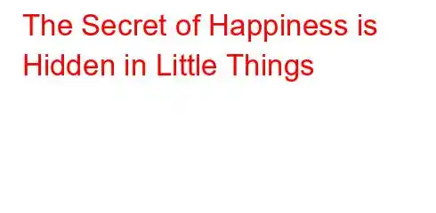 The Secret of Happiness is Hidden in Little Things