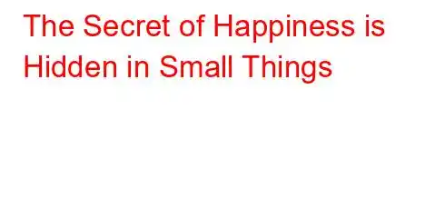 The Secret of Happiness is Hidden in Small Things