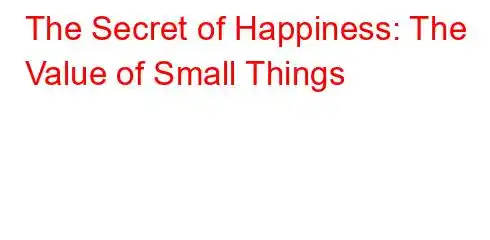 The Secret of Happiness: The Value of Small Things