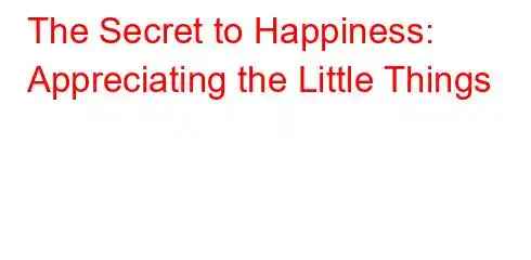 The Secret to Happiness: Appreciating the Little Things