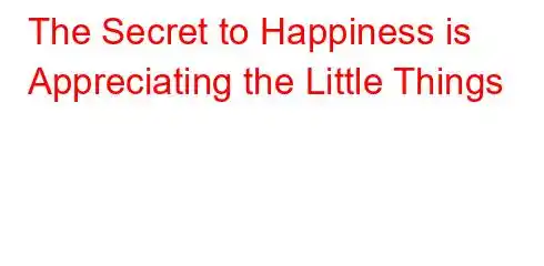 The Secret to Happiness is Appreciating the Little Things