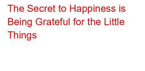 The Secret to Happiness is Being Grateful for the Little Things