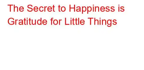 The Secret to Happiness is Gratitude for Little Things