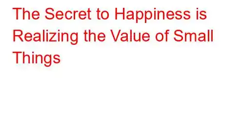 The Secret to Happiness is Realizing the Value of Small Things