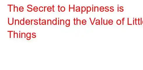 The Secret to Happiness is Understanding the Value of Little Things