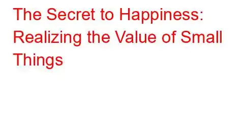 The Secret to Happiness: Realizing the Value of Small Things